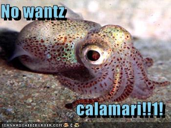 no-wantz-calamari